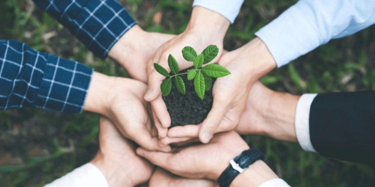 Educación Ambiental en Bienes Raíces: Estrategias y Beneficios para Desarrolladores